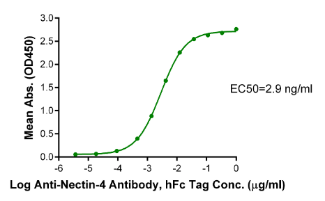 Nectin-4 IgV Domain, His &amp; Avi, Human