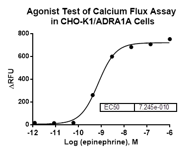 CHO-K1/ADRA1A Stable Cell Line