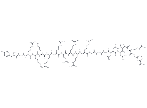 Drp1 peptide inhibitor P110
