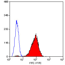 Anti-CD42a, clone GRP-P