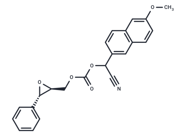 Epoxy Fluor 7