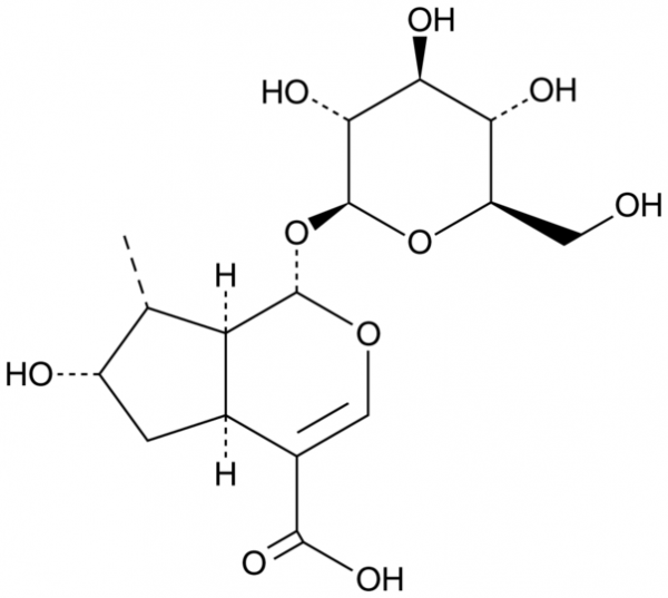 Loganic Acid