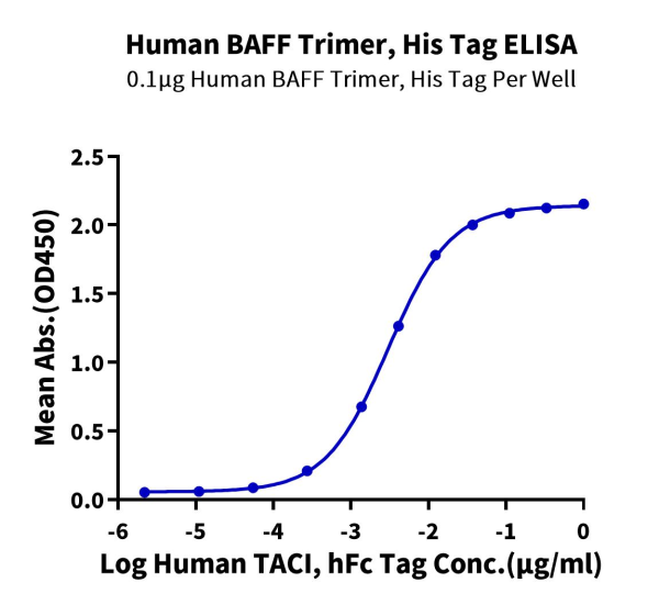 Human BAFF/TNFSF13B/CD257 Trimer Protein