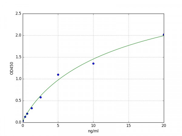 Human Glycine N-methyltransferase / GNMT ELISA Kit