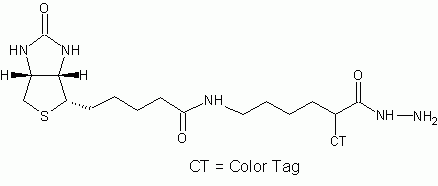 ReadiView Biotin(TM) hydrazide