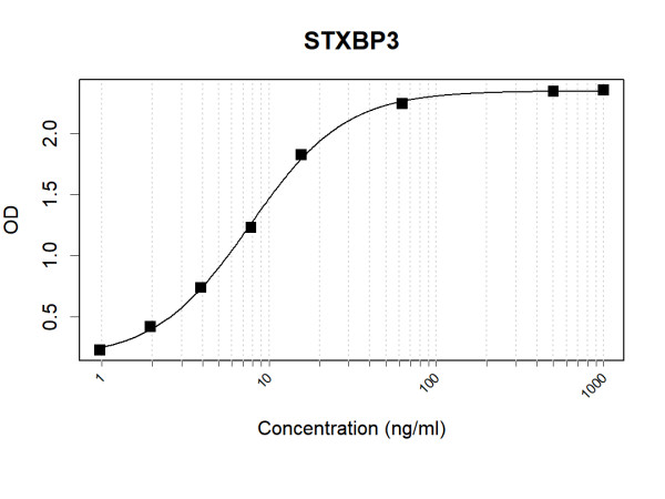 Anti-Human STXBP3 Antibody Pair