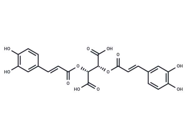 L-Chicoric Acid