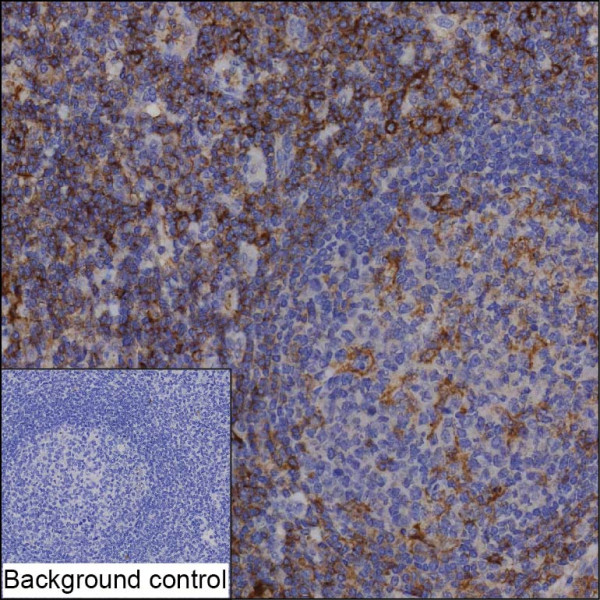 Anti-PSGL1