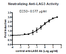 Anti-LAG3, Neutralizing