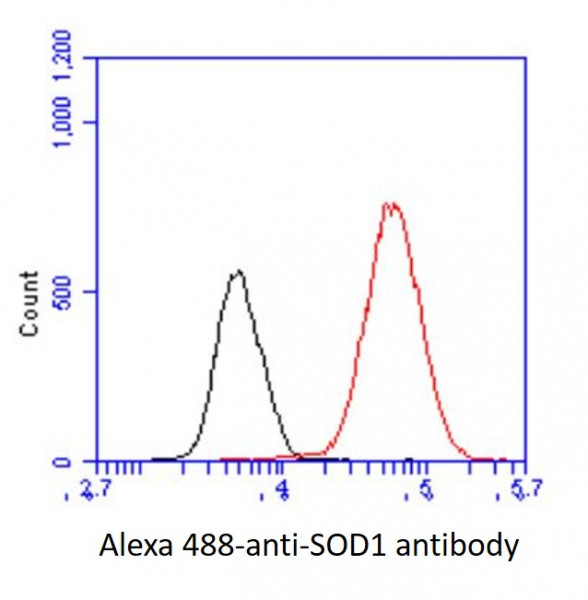 Anti-SOD1, clone 6F1