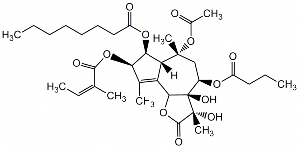 Thapsigargin (high purity)