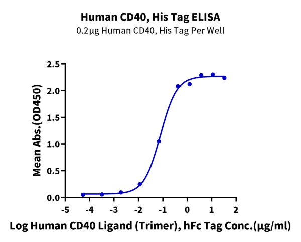 Human CD40/TNFRSF5 Protein