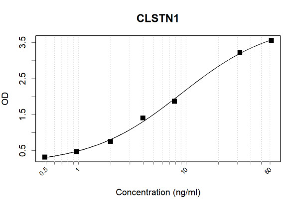 Anti-Human CLSTN1 Antibody Pair