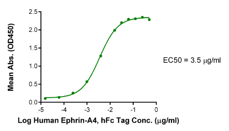 Ephrin-A4/EFNA4 hFc Chimera, Human