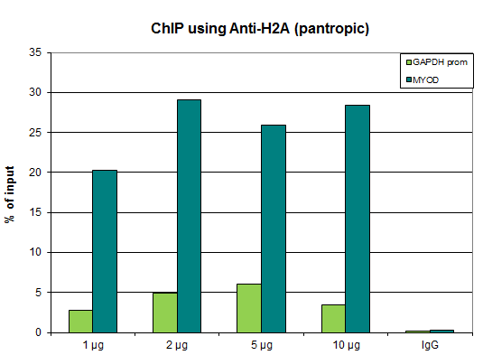 Anti-H2A pan