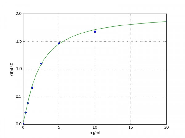 Human TLR5 / Toll-like receptor 5 ELISA Kit