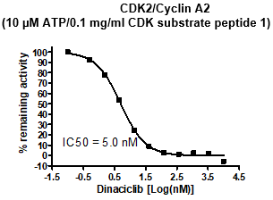 CDK1 Assay Kit