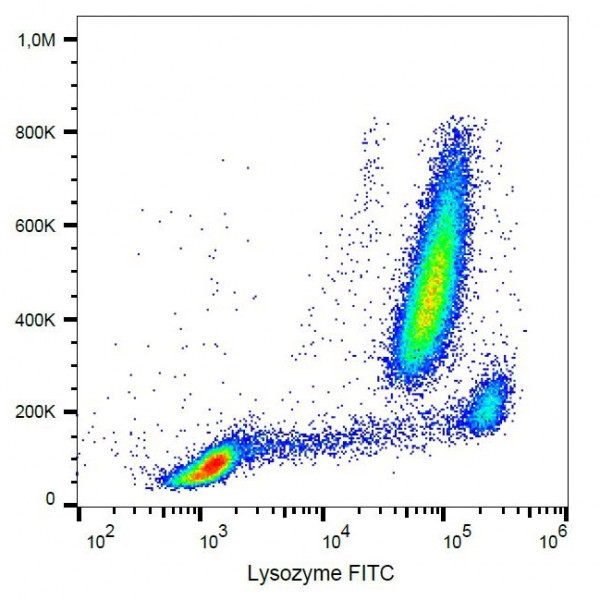 Anti-Lysozyme (FITC), clone LZ598-10G9