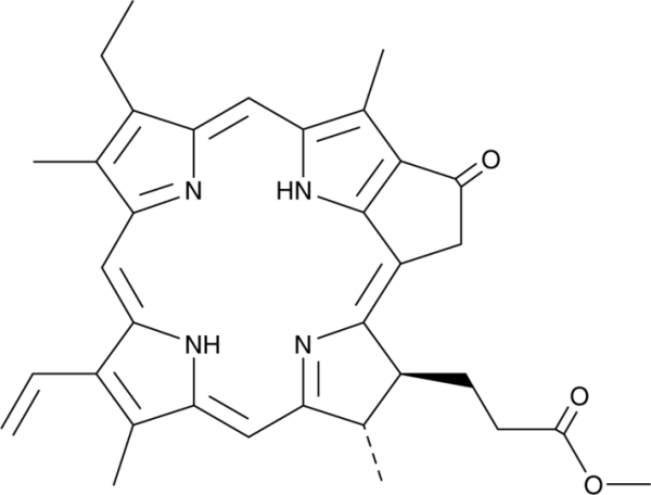 Pyropheophorbide a methyl ester