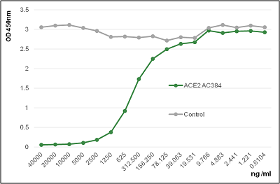 Anti-ACE2 (human), mAb (blocking) (AC384) (preservative free)