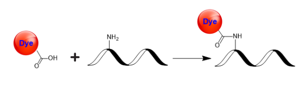 Tide Quencher(TM) 3HWS Acid [TQ3HWS Acid]