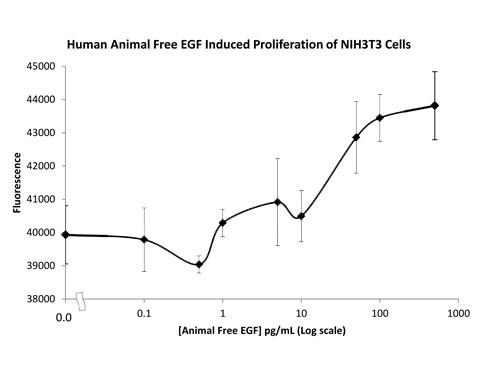 Epidermal Growth Factor (AF)