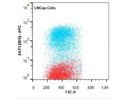 Anti-AKT1 Allophycocyanin Conjugated, clone 5E5.F5.D7