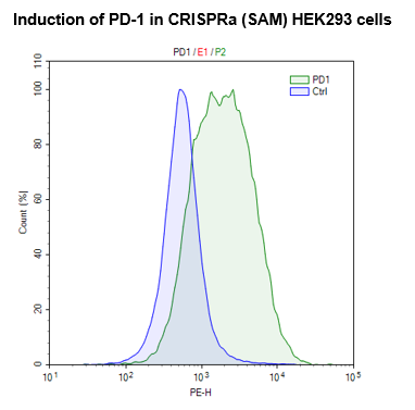 CRISPRa (SAM) HEK293 Cell Line
