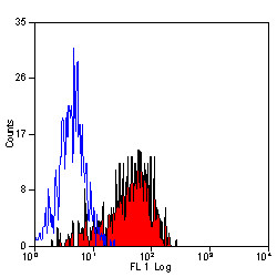 Anti-CD62P / P-Selectin (FITC), clone AK-6