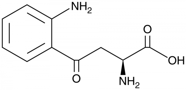 L-Kynurenine