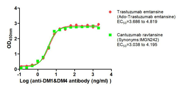 Anti-DM1&amp;DM4, clone 13F3F9