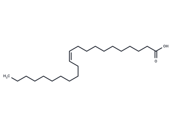 11(Z)-Docosenoic Acid