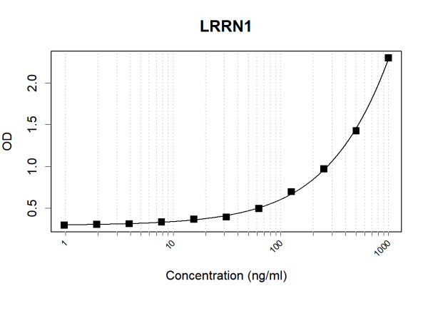 Anti-Human LRRN1 Antibody Pair