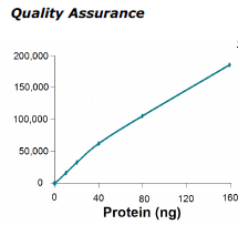 JNK1, active human recombinant protein