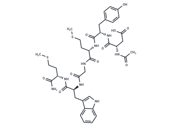 CCK (26-31) (non-sulfated)