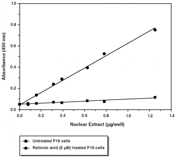 Oct4 Transcription Factor Assay Kit