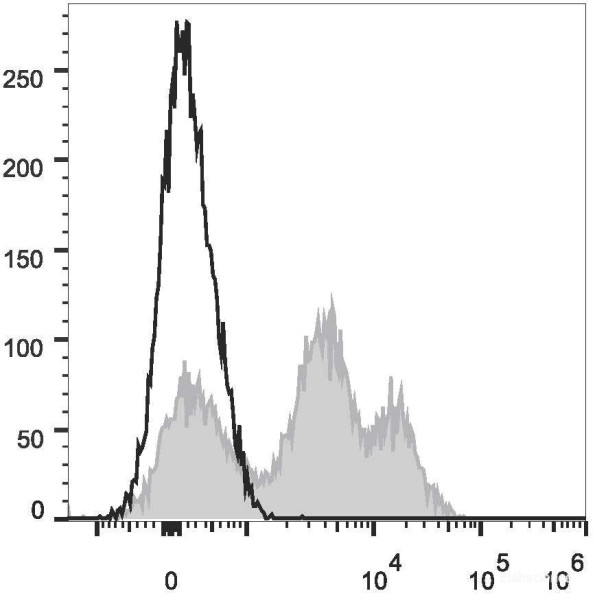 Anti-Mouse CD24 (PE Conjugated)[M1/69], clone M1/69