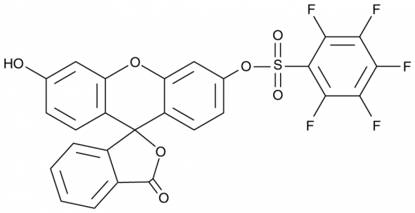 Pentafluorobenzenesulfonyl fluorescein