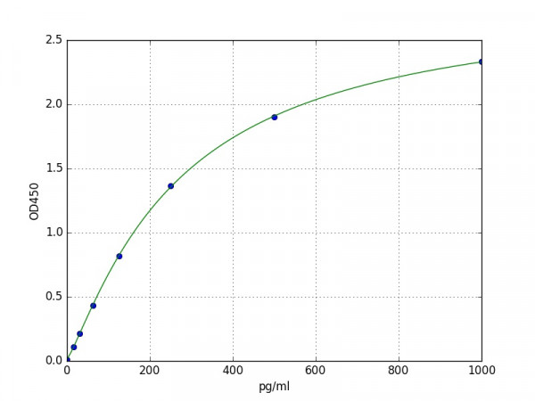 Human FGF20 / Fibroblast growth factor 20 ELISA Kit