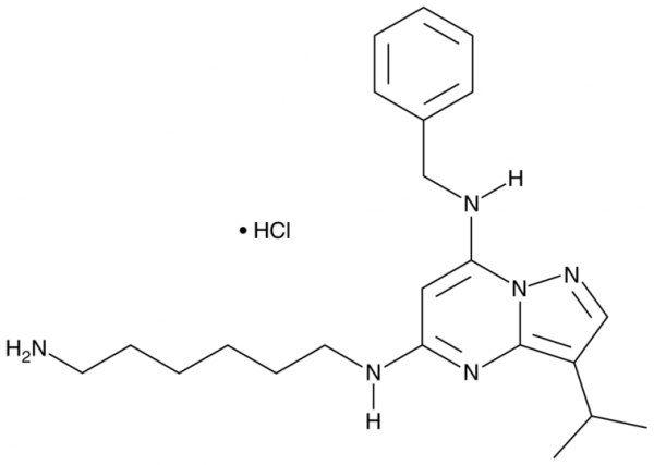 BS-181 (hydrochloride)