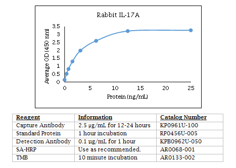 Anti-IL-17A (rabbit)