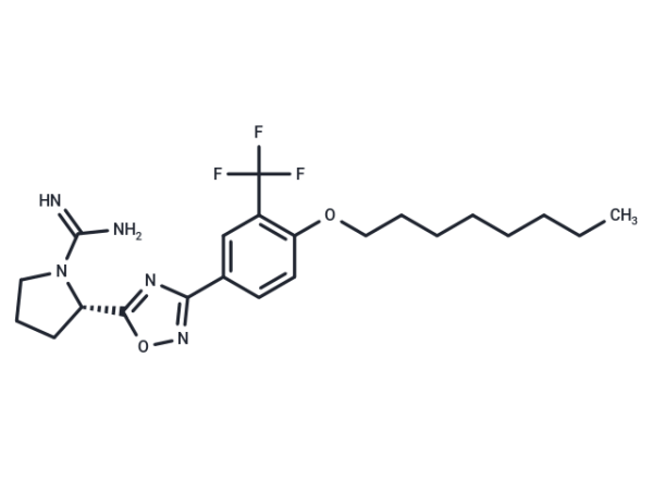 SLM6031434 (free base)