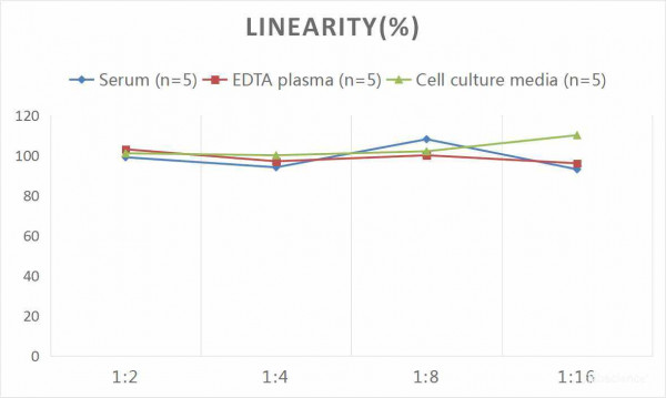 Human FABP7 (Fatty Acid Binding Protein 7, Brain) CLIA Kit