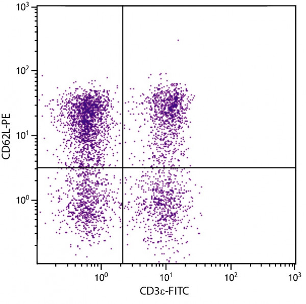 Anti-CD62L (PE), clone MEL-14