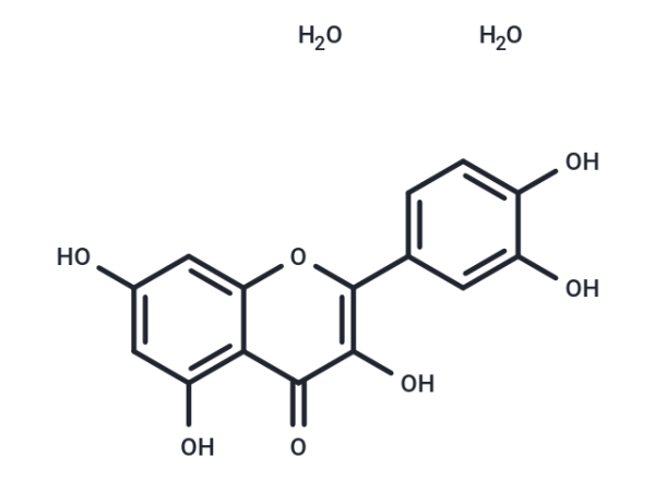 Quercetin Dihydrate