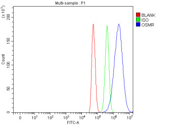 Anti-Osmr / Oncostatin M receptor