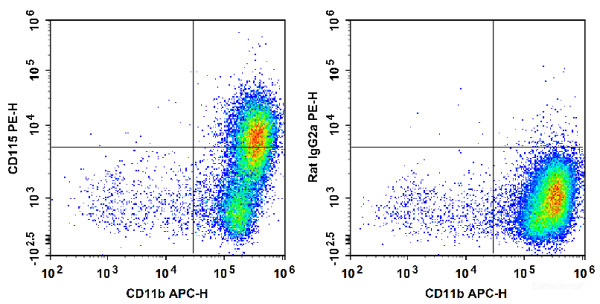 Anti-Mouse CD115 (PE Conjugated)[AFS98], clone AFS98