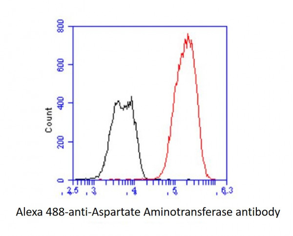Anti-Aspartate Aminotransferase, clone 3G11