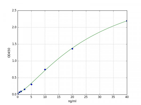 Human AMD1 / S-adenosylmethionine decarboxylase proenzyme ELISA Kit