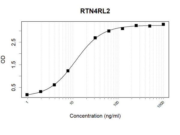 Anti-Human RTN4RL2 Antibody Pair